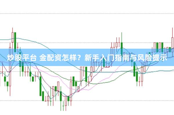 炒股平台 金配资怎样？新手入门指南与风险提示