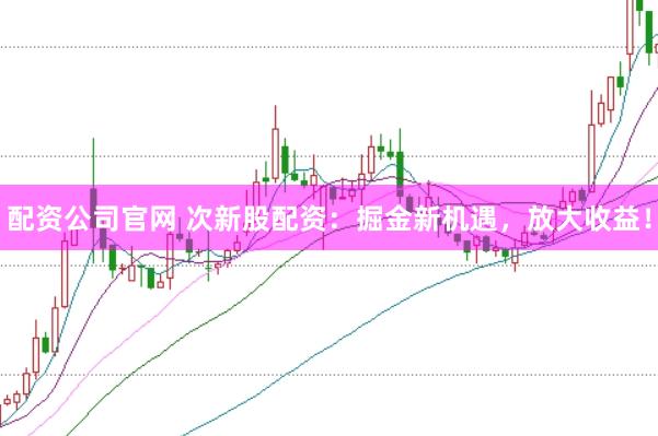 配资公司官网 次新股配资:掘金新机遇,放大收益!