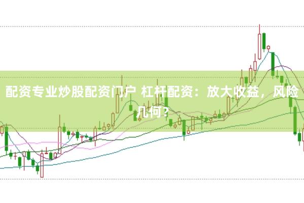 配资专业炒股配资门户 杠杆配资：放大收益，风险几何？