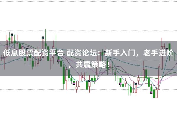 低息股票配资平台 配资论坛：新手入门，老手进阶，共赢策略！