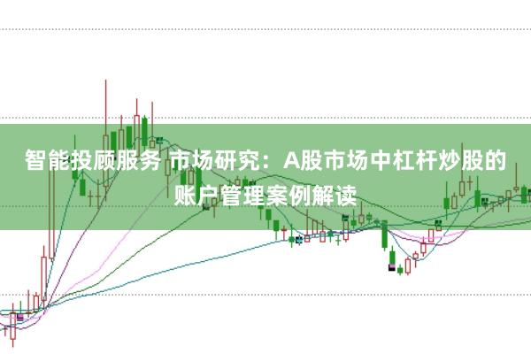 智能投顾服务 市场研究：A股市场中杠杆炒股的账户管理案例解读
