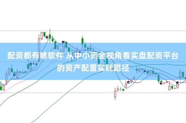 配资都有啥软件 从中小资金视角看实盘配资平台的资产配置实践路径
