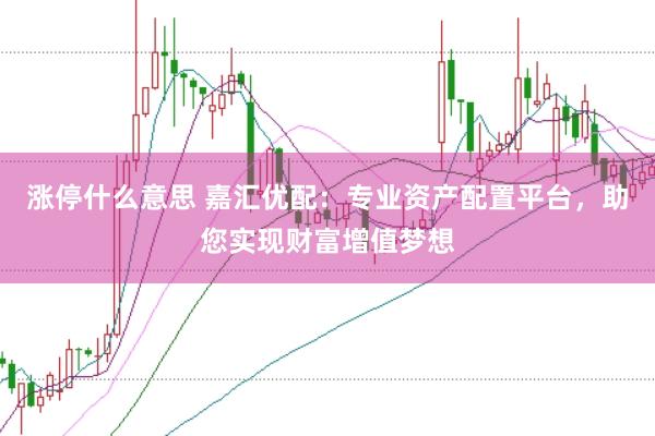 涨停什么意思 嘉汇优配：专业资产配置平台，助您实现财富增值梦想